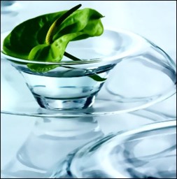 Zeige Produkte für Kategorie Kristallglas Bild für Kategorie Kristallglas