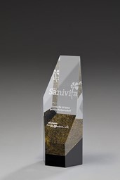 Zeige Details für Aria Award Bild von Aria Award