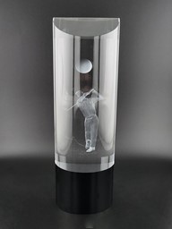 Zeige Details für Kristallglas Award Golfer 3D-Motiv , in 3 Größen Bild von Kristallglas Award Golfer 3D-Motiv , in 3 Größen