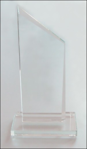 Bild von Crystal Summit Award