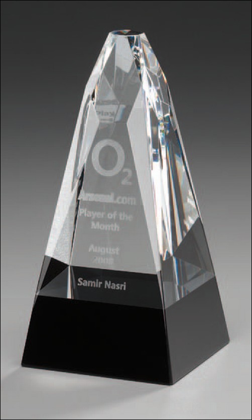 Bild von President Award