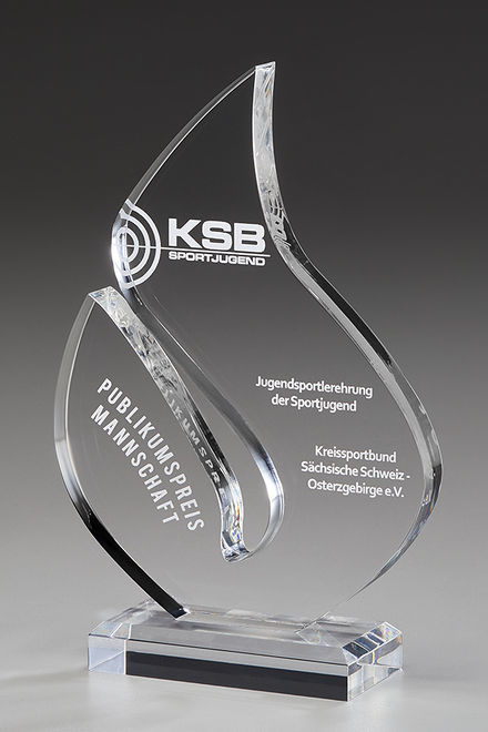 Bild von Brilliance Award