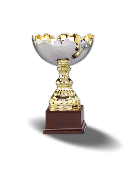 Awards für Events und Golfturniere. Pokal FIRSTCLASS