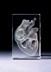 Bild von Sehr detailreiches Herz in Glasblock - 3D-Glas mit realistischem Textur-Effekt