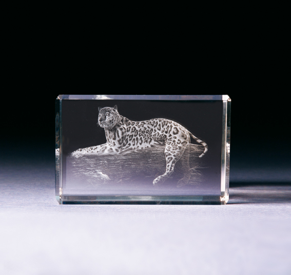 Bild von Leopard in Glasblock - 3D-Glas mit realistischem Textur-Effekt