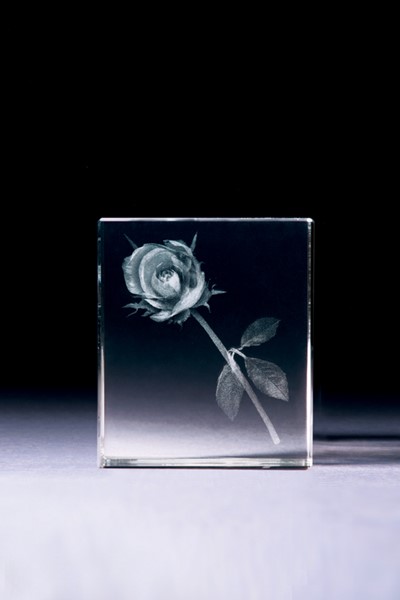 Bild von Rose in Glasblock - 3D-Glas mit realistischem Textur-Effekt