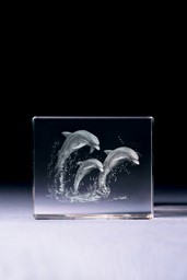 Bild von Delphine in Glasblock - 3D-Glas mit realistischem Textur-Effekt