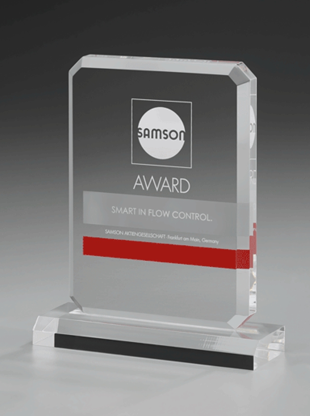 Bild von Acrylic Frame Award