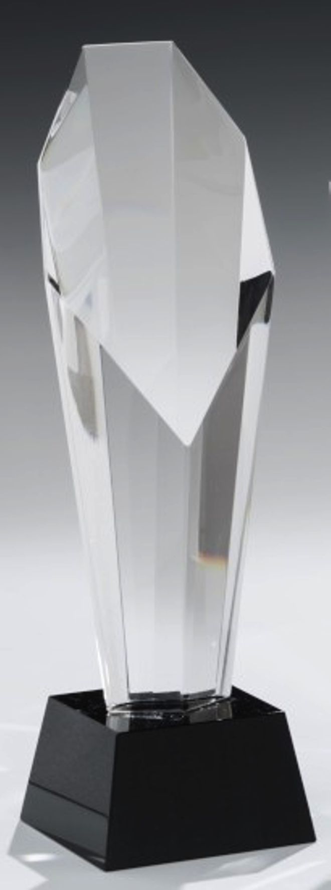 Bild von Crystal Pylon Award