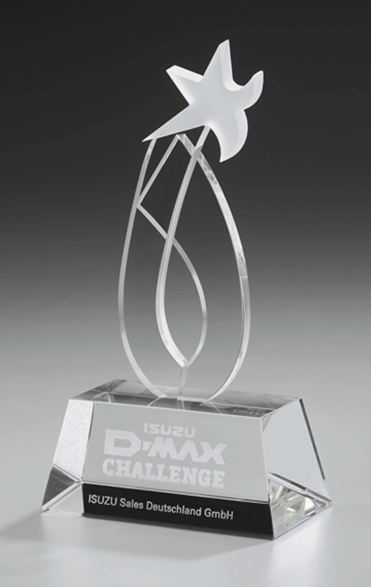 Bild von Dynamic Ice Award