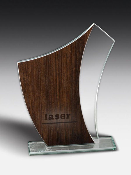 Bild von Wooden Wing Award