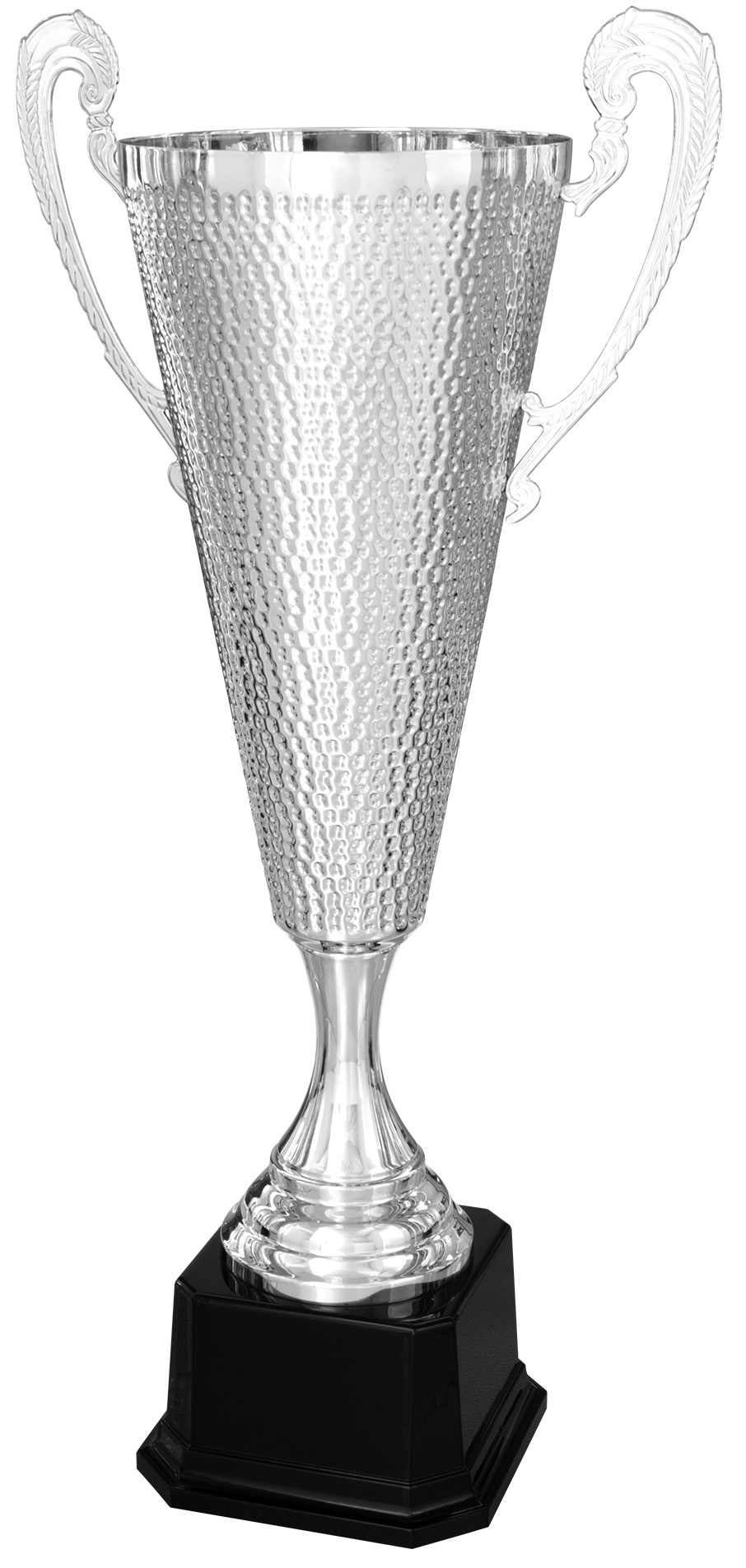 Bild von Pokal Silver Horizon