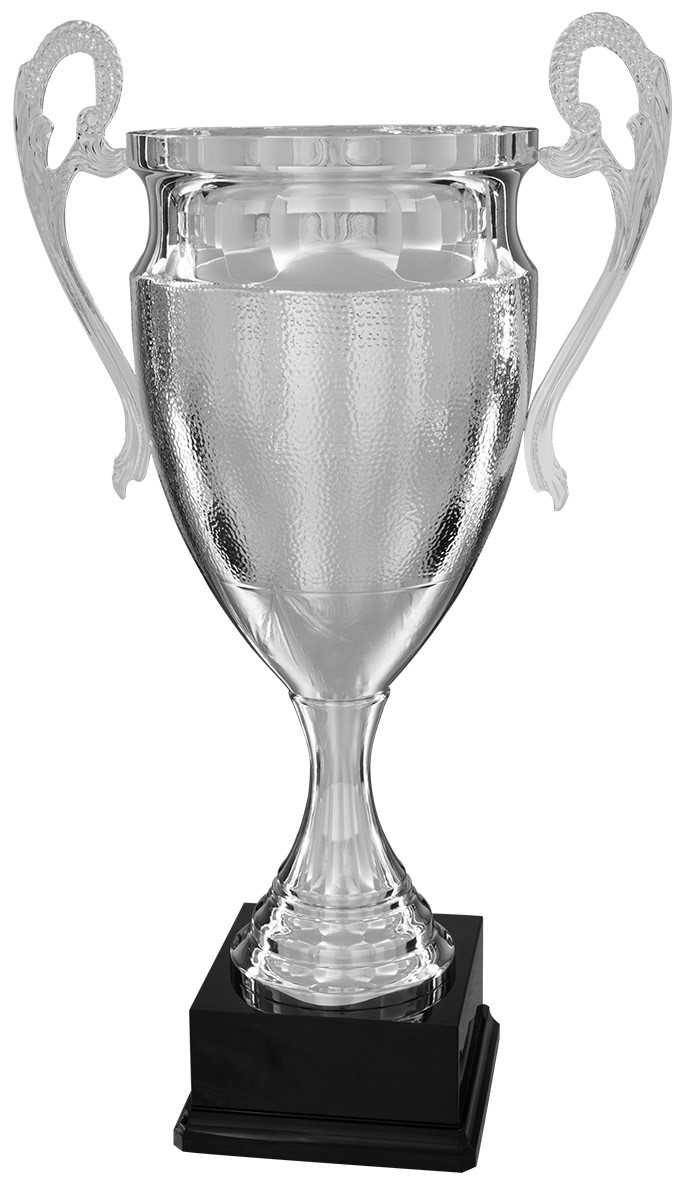 Bild von Grand Cup Silver