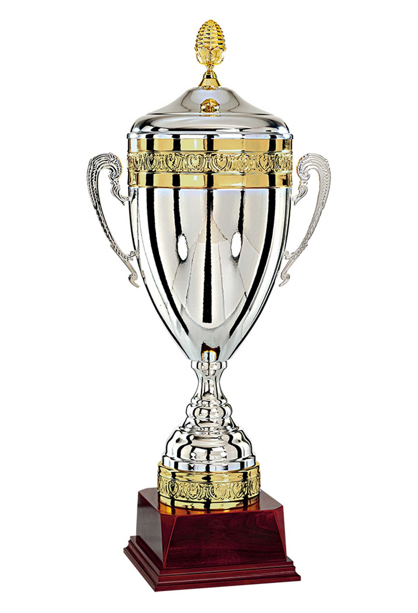 Bild von Grosser Pokal mit Henkeln