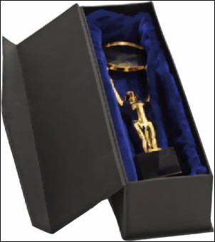 Bild von Geschenkkarton für Champions Award