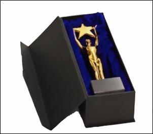 Bild von Geschenkkarton für Star Achievement Award